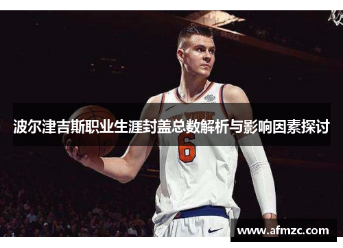 波尔津吉斯职业生涯封盖总数解析与影响因素探讨