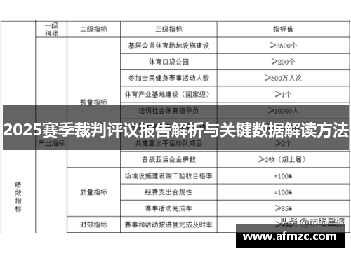 2025赛季裁判评议报告解析与关键数据解读方法