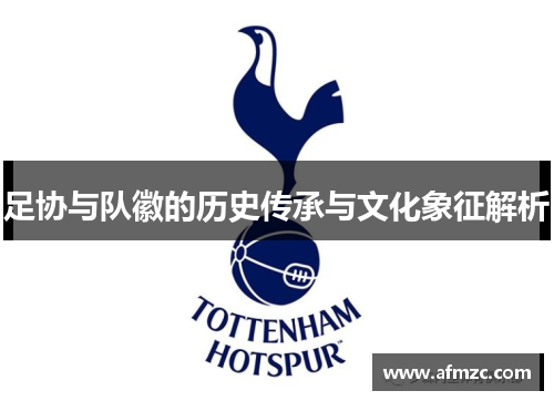 足协与队徽的历史传承与文化象征解析