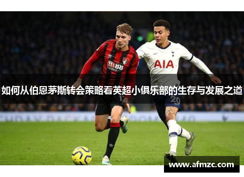 如何从伯恩茅斯转会策略看英超小俱乐部的生存与发展之道