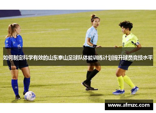 如何制定科学有效的山东泰山足球队体能训练计划提升球员竞技水平