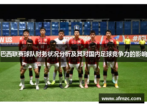巴西联赛球队财务状况分析及其对国内足球竞争力的影响