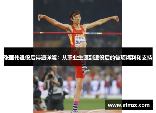 张国伟退役后待遇详解：从职业生涯到退役后的各项福利和支持