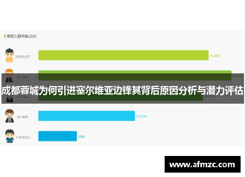 成都蓉城为何引进塞尔维亚边锋其背后原因分析与潜力评估